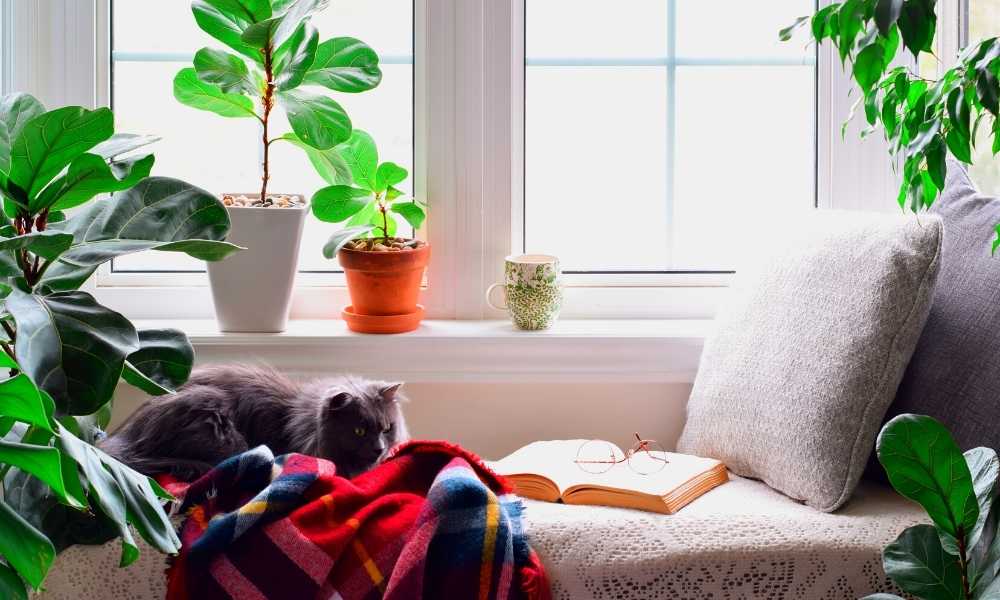 Design A Reading Nook Bedroom Window Sill Decor Ideas