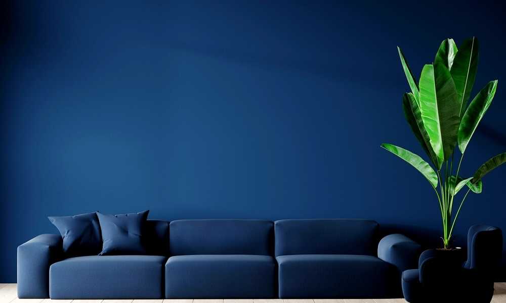 Go Navy Blue Accent Wall